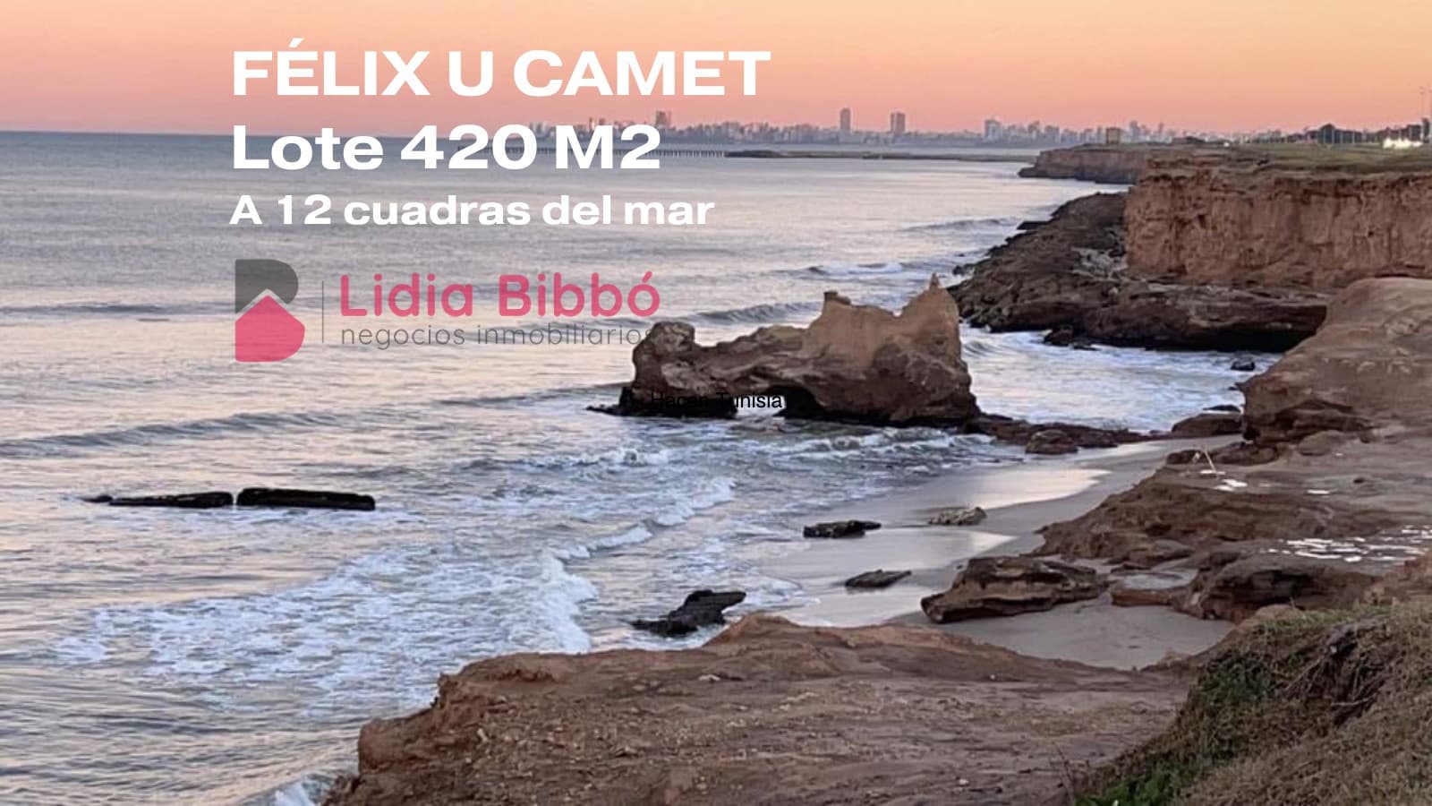 LOTE en FÉLIX U CAMET - Imagen 1