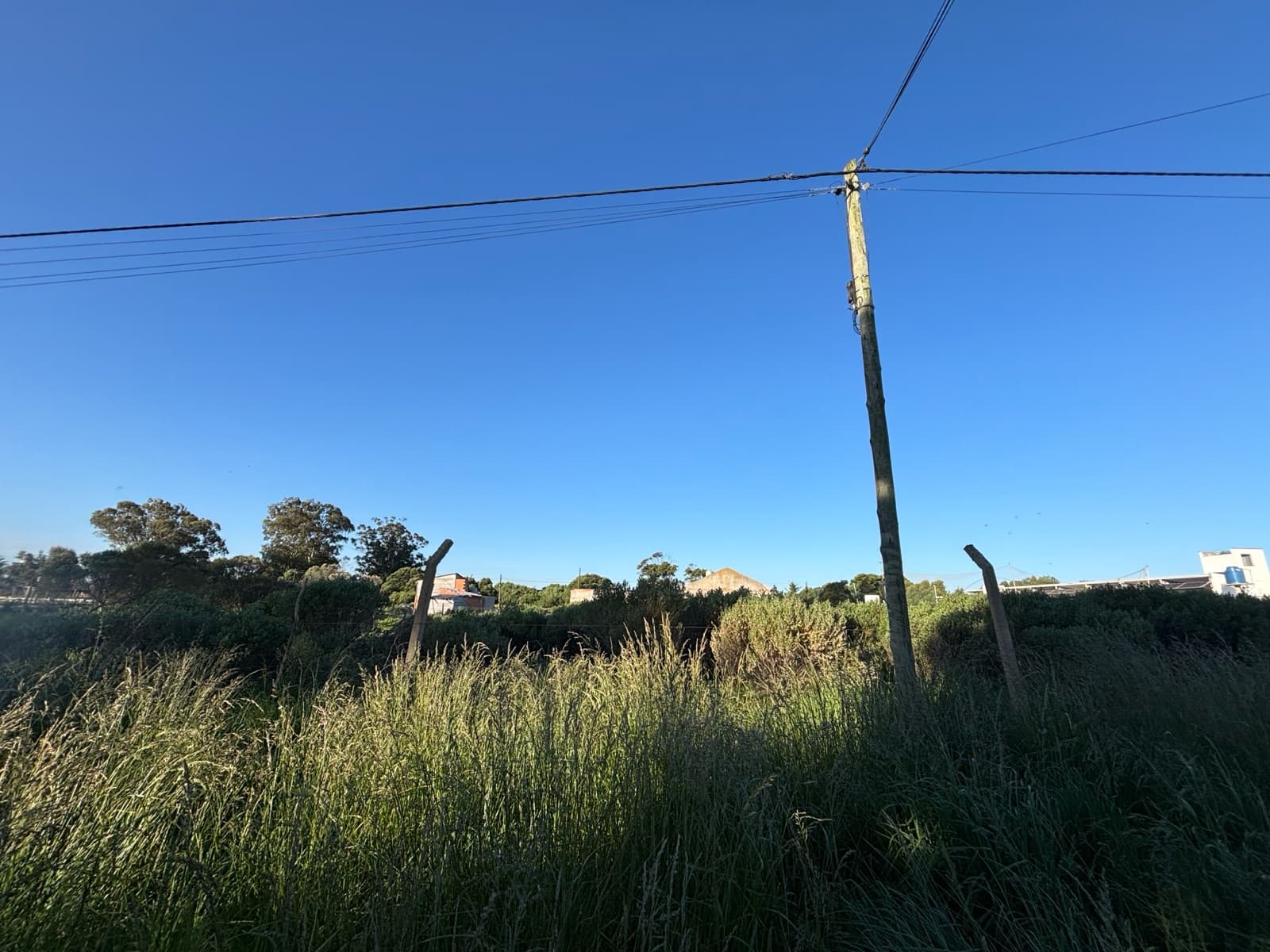 LOTE en FÉLIX U CAMET - Imagen 2