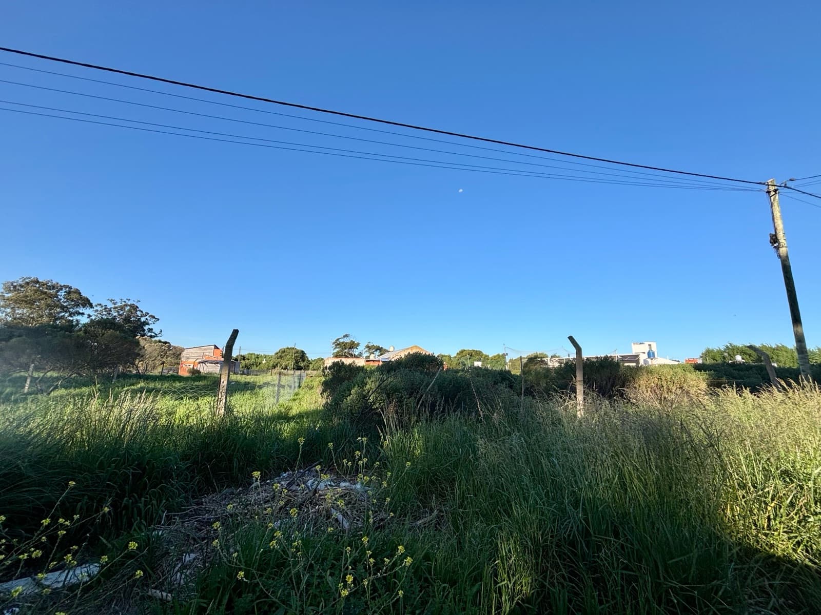 LOTE en FÉLIX U CAMET - Imagen 3