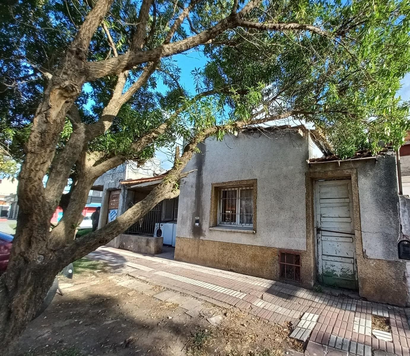 LOCAL con VIVIENDA en Mar del Plata - Imagen 4