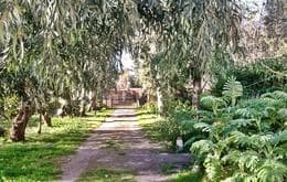 CASONA sobre 2 lotes (504M2) en Barrio Felix Camet - Imagen 4