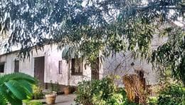 2 Galpones + 3 Deptos (840M2) en Barrio Felix Camet - Imagen 3
